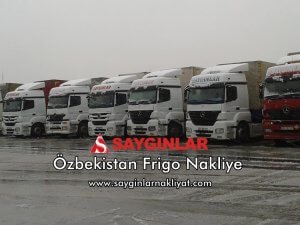 özbekistan frigo